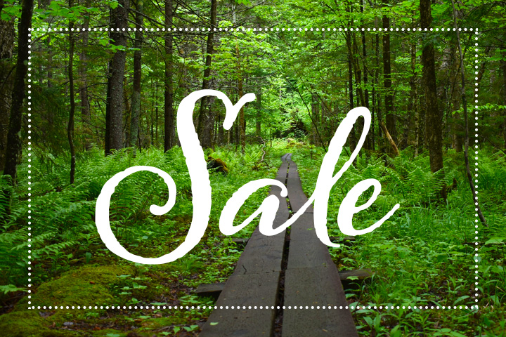 sale-header-spring-2019