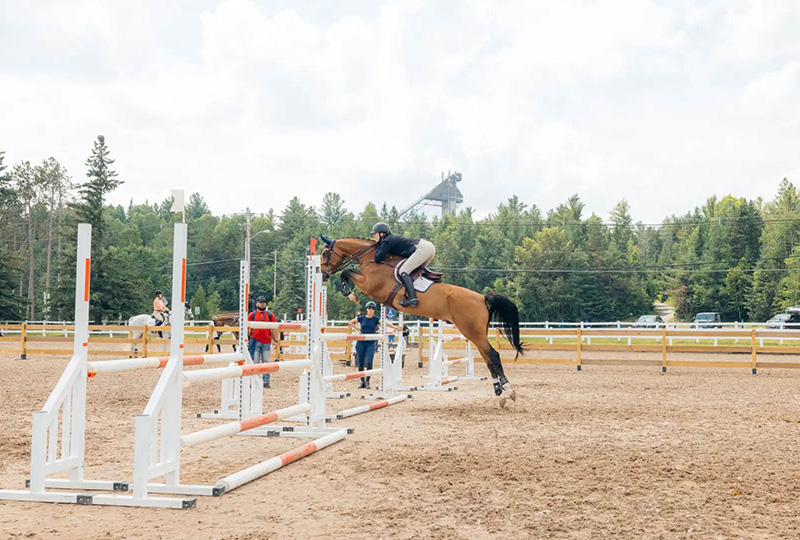 A horse and rider begin their jump over the bar